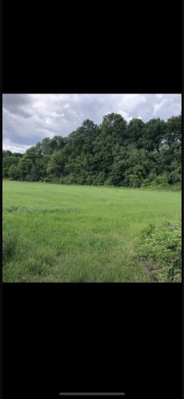 Teren intravilan la padure si drum asfaltat - 1