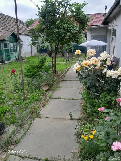 casa de vanzare Media? - 3