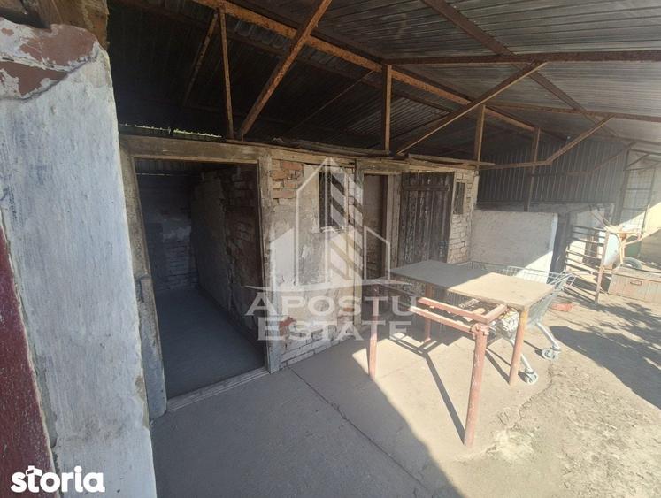 PROPRIETATE PREMIUM TEREMIA MARE - APOSTU ESTATE - 15
