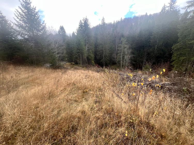 Teren 2576mp Poiana Brasov-Poiana Aviatorilor! - 2