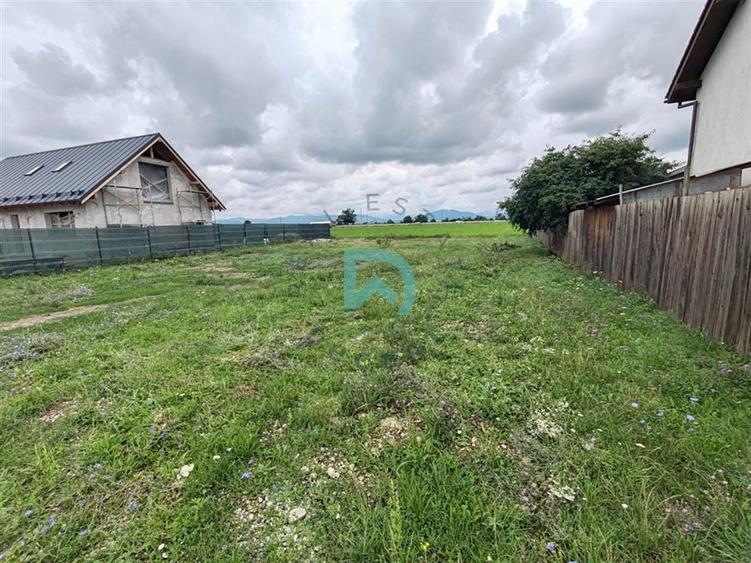 Teren intravilan de vanzare, 630 mp, Harman, Brasov, ideal investitie - 5