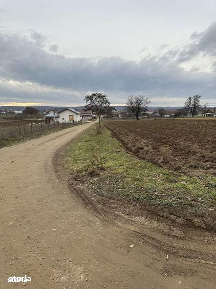 Teren intravilan in Mitoca?i 67500 euro - 7