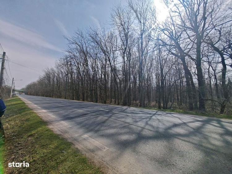 OPORTUNITATE -Teren de Vis la Marginea Padurii 5000 mp in Ciorogar - 7