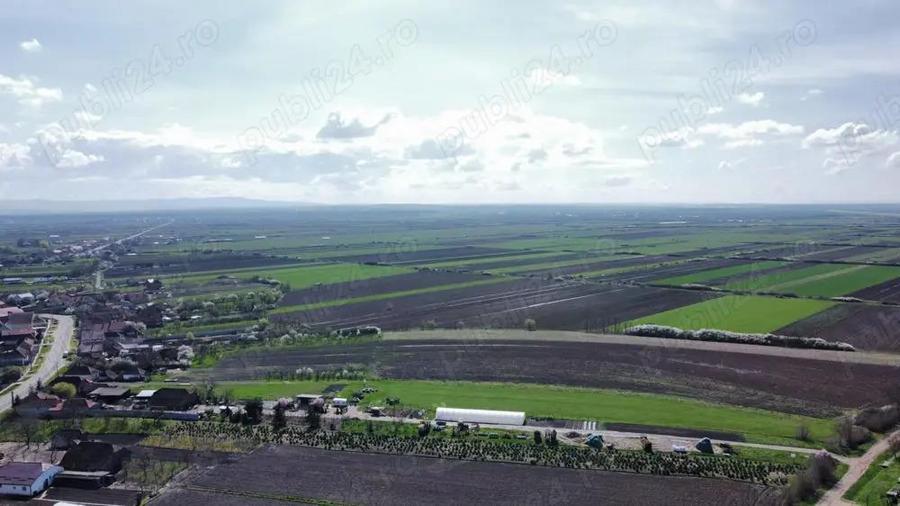 Parcele de teren - 729 mp | Amati - 3,5 km de Satu Mare - 8