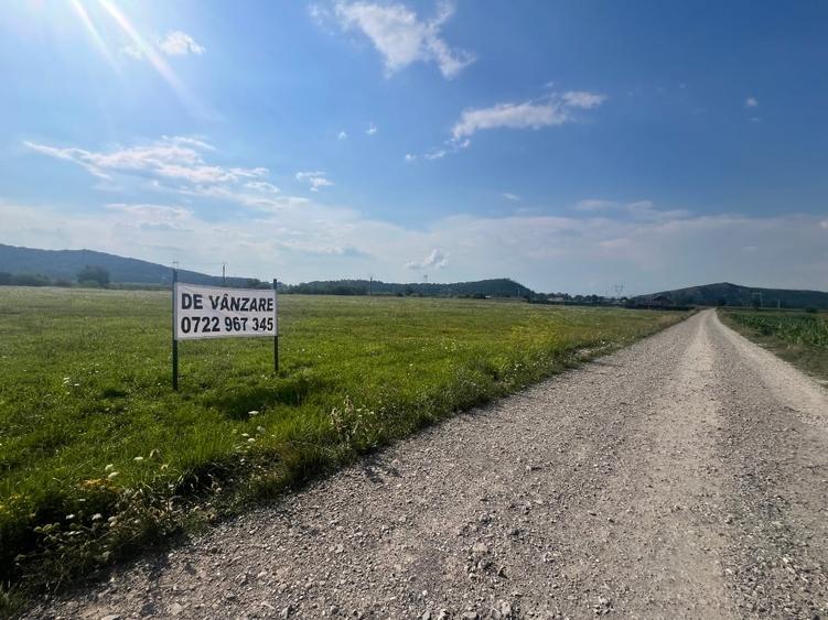 Teren de vanzare  10800 mp - 1