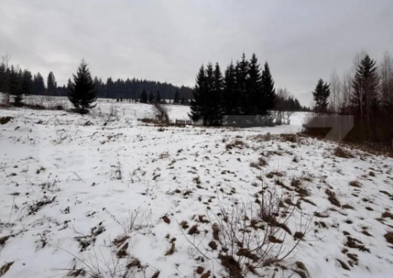 Eren intravilan 10746 mp, front 58 ml, localitatea Pojorata - 6