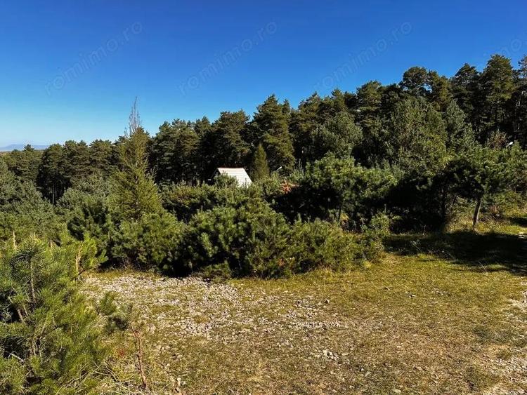 0% Comision- Teren cu constructie, langa padure-600 mp, Purcareni - 1