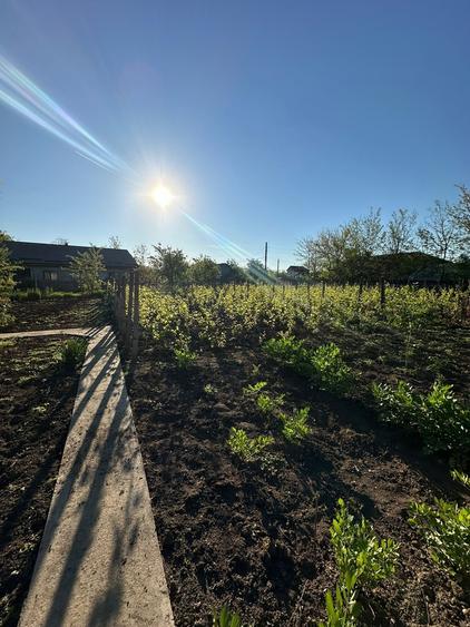 Baneasa, Giurgiu - 1