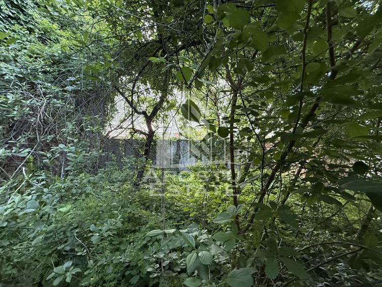 Casa individuala din caramida, 712mp teren, zona Traian - 5