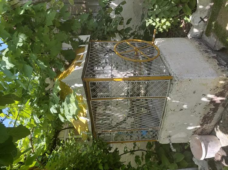 Casa de vanzare Chislaca - 4