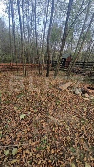 Pachet de 3 case in zona Tohanita, case tip A-frame  , 400 mp teren fiecare - 5