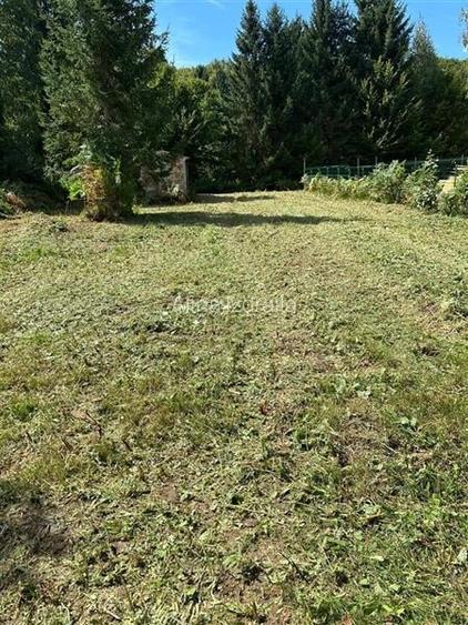 Teren intravilan de vanzare 500 mp Valea Avrigului