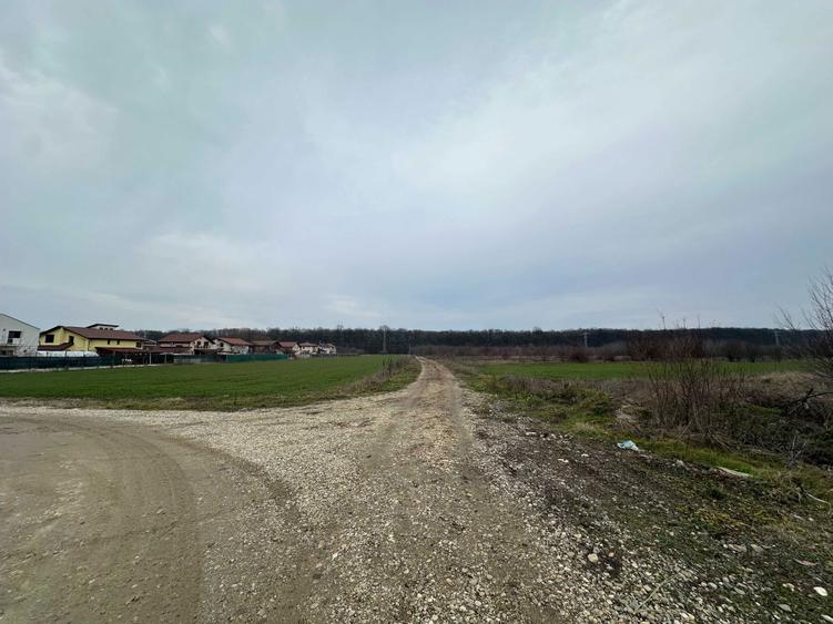 Loturi Teren GULIA Dambovita / 6 Loturi / 545mp - 2