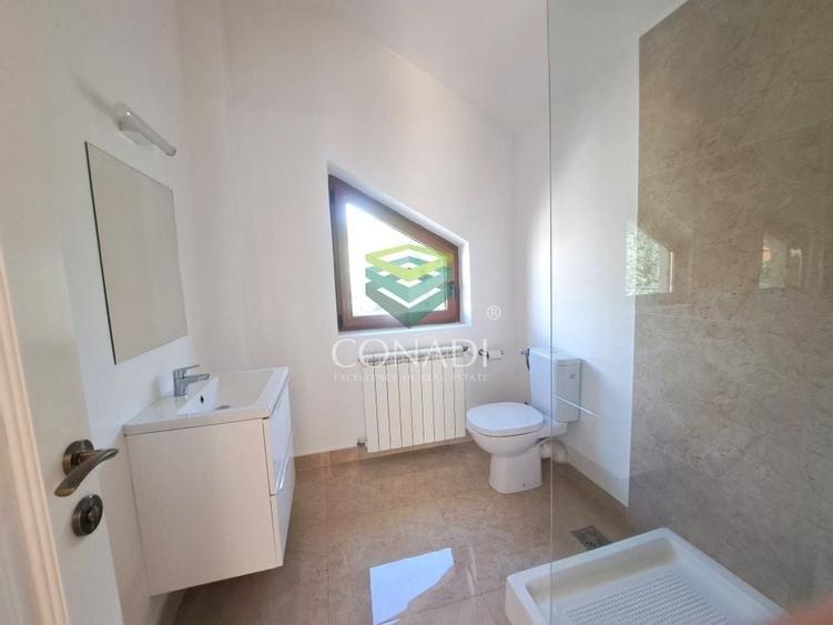 Baneasa-padure, vila de inchiriat, 500 mp utili - 12