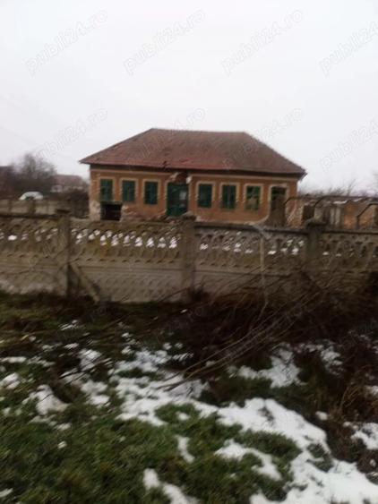 Vand casa goicea mare dolj 1950 mp - 5