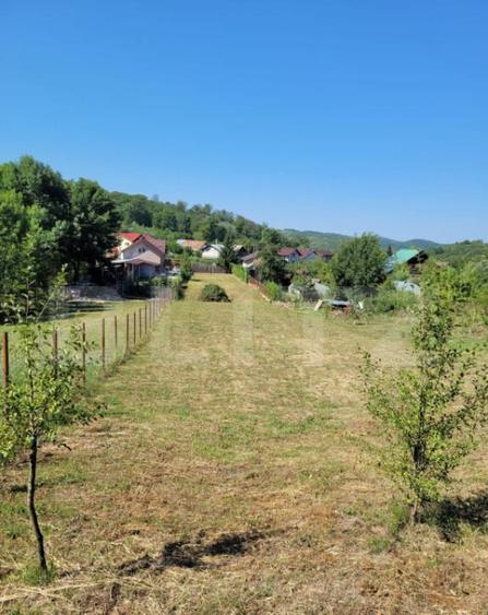 Teren intravilan, 1.845 mp, deschidere 13,86 m Ognitei - 2