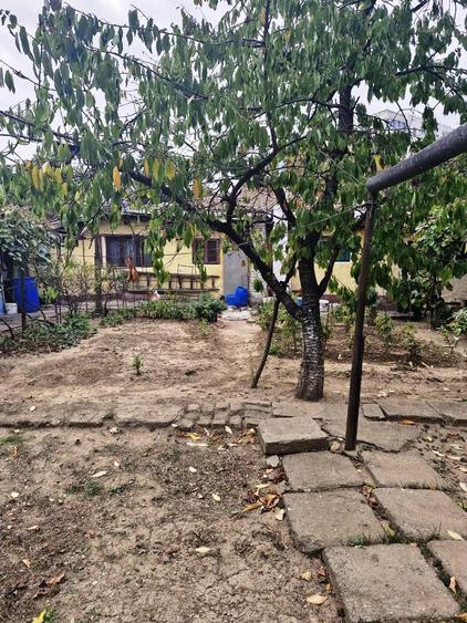 Colentina-Peisajului - 7