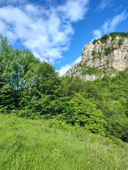 Teren Valea Cernei Baile Herculane - 1