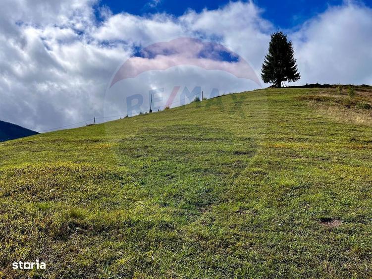 Oaza de liniste in inima Apusenilor teren 6.500 mp Arieseni - 2