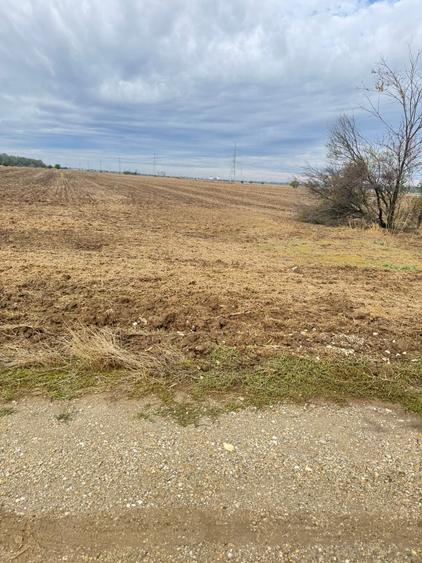 MAGURELE iF LOCALITATEA PRUNI ,LOTURI DE VANZARE - 1