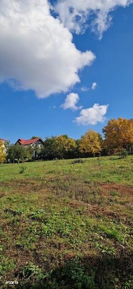 P. F. vand teren 5000mp -intravilan Bucium -Iasi; front stradal 50mp - 1