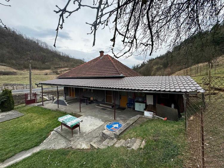 Casa de vanzare+teren intravilan+teren extravilan - 1