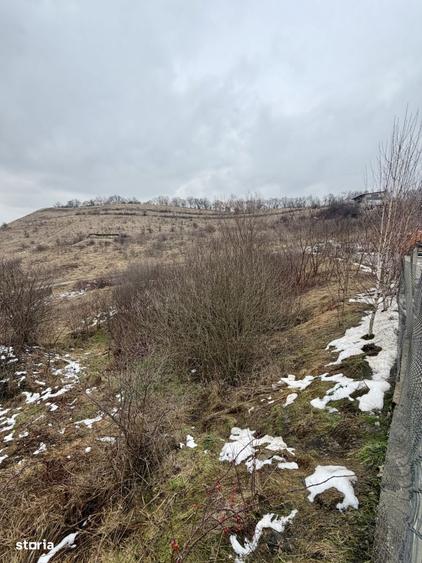 Teren de 679 mp zona Stejarului, Floresti - 2