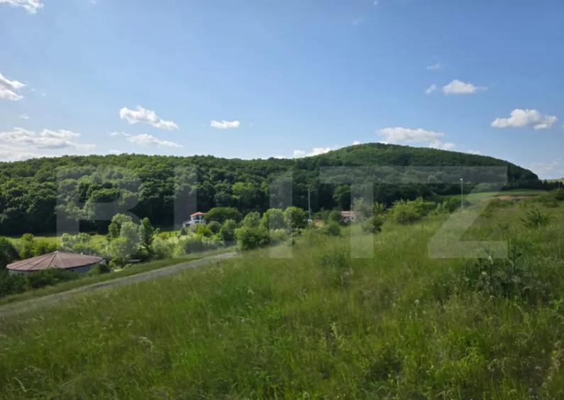 Teren potrivit pentru investitie in zona complexului Domeniu - 4