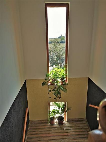 Vila Deosebita Rudicica - 13