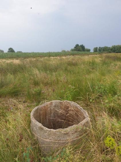 Teren intravilan in Delta Dunarii, C.A. Rosetti - Cardon - 7