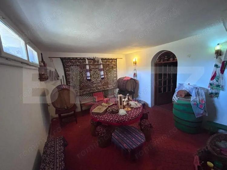 Casa cu incalzire in pardoseala si 17.000 mp teren, sat Oboga - 20