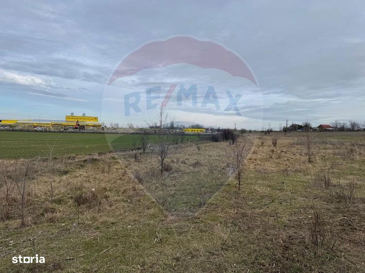 Teren intravilan 13800 mp - Centura de Nord Arad - 4
