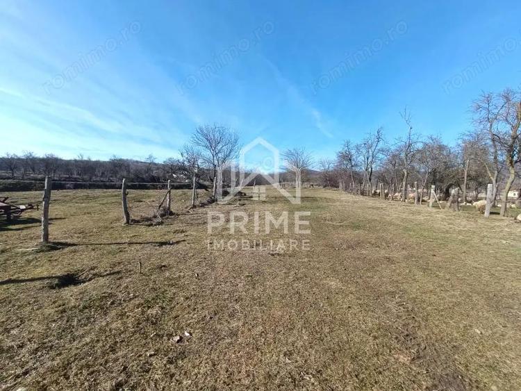 Teren Generos in Pacli?a Intimitate ?i Natura la un pas de ora? - 3