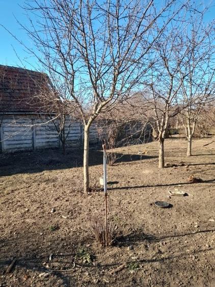 !!! 7min de centru..Teren 936 mp  in Timisoara ...150euro/mp !!!! - 5