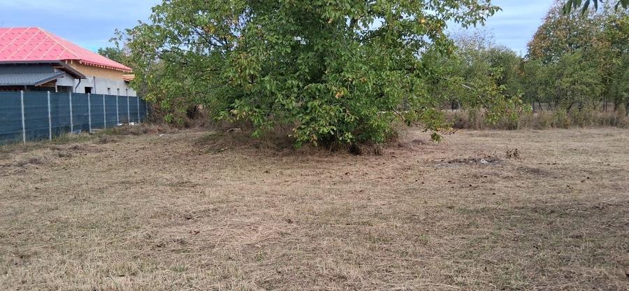 Teren intravilan 835 mp , D - 23 m , zona linistita - 6