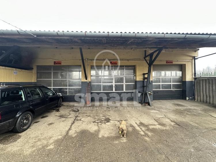 Afacere profitabila de vanzare+ Casa - 6