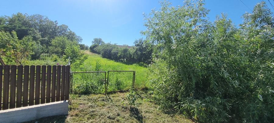 Teren la asfalt la Manastirea Doamnei - 3