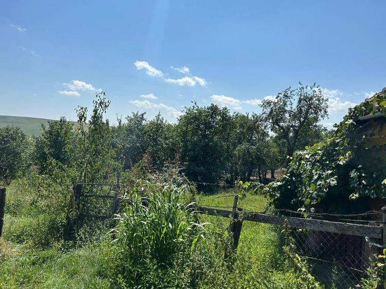 Casa de vanzare sat Rediu - 4