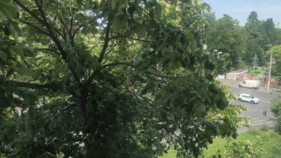 APARTAMENT 2 CAMERE - 6