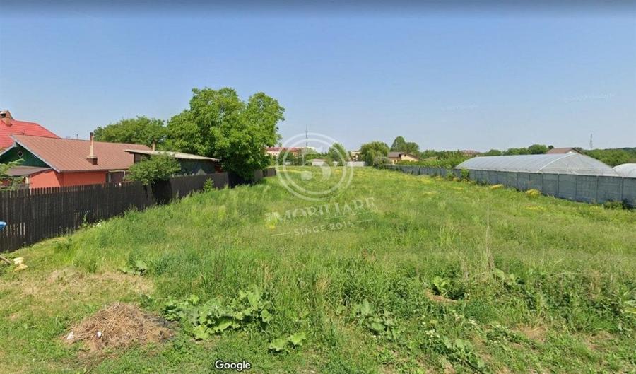 Snagov- Teren Intravilan de Vanzare - 11