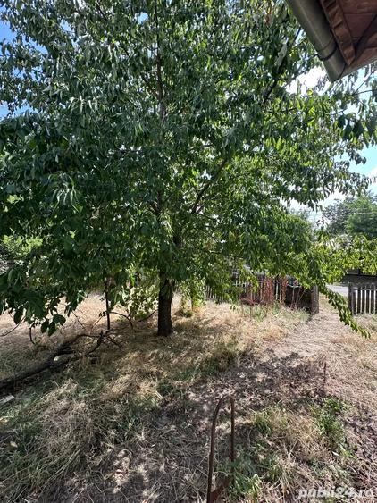 Casa Ciochina, Ialomi?a, 4 camere, 1610 mp teren - 3