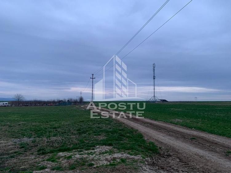 Teren intravilan, 2635 mp, Zabrani - 2