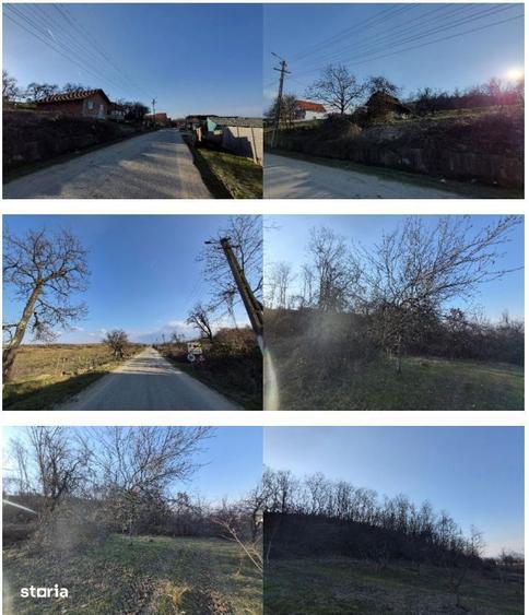 Teren intravilan arabil-com. Dumbrava, jud. Timis - 2