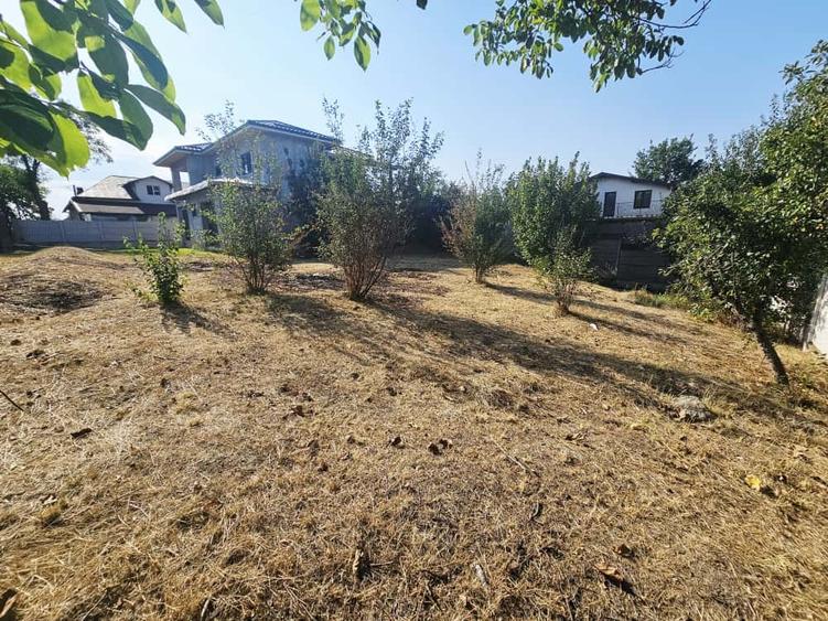 Vilă luminoasă, 4 camere, cu teren generos – Com. Plopu - 7