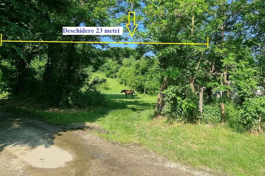 VANZARE teren intravilan 6011mp Mislea Scorteni Prahova Telega Prahova utilitati - 7