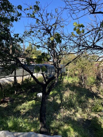 Casa la curte in municipiul Calarasi - 8