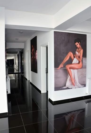 Penthouse lux, 3 camere, terasa panoramica, 300 mpc. - 10