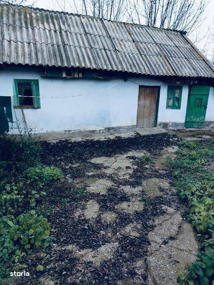 casa si padure de vanzare - 6