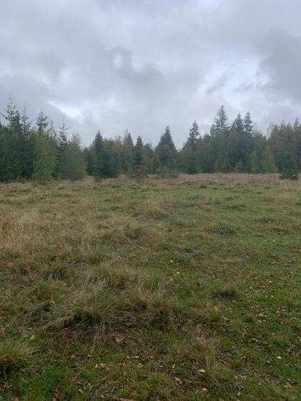 Teren 7501 mp. judet Cluj - 2