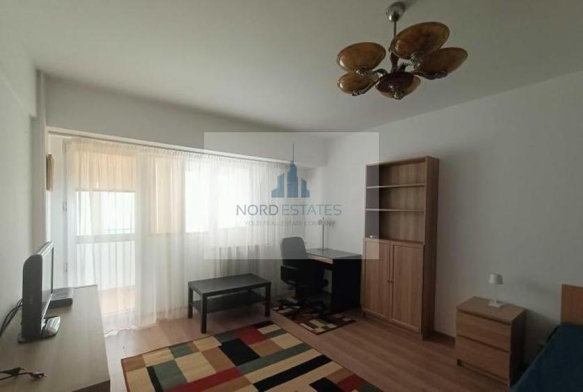 Garsonierea Piata Victoriei metrou - 3